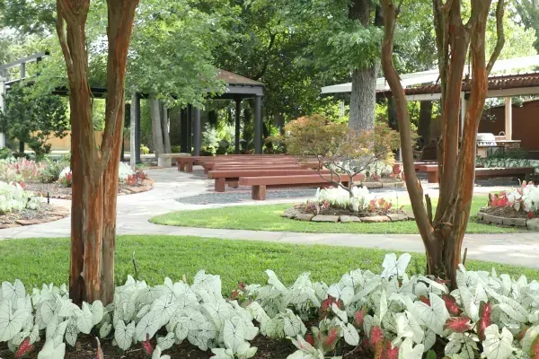 Landscaped garden with trees, flower beds, green lawn, and a wooden bench near a path