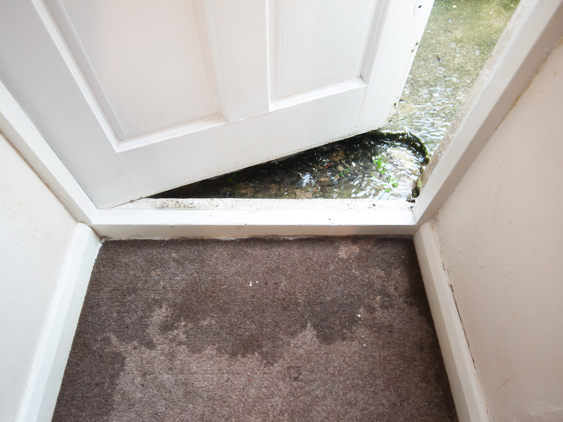 Water-damaged carpet and floor near an open door, showing water and flood remediation.