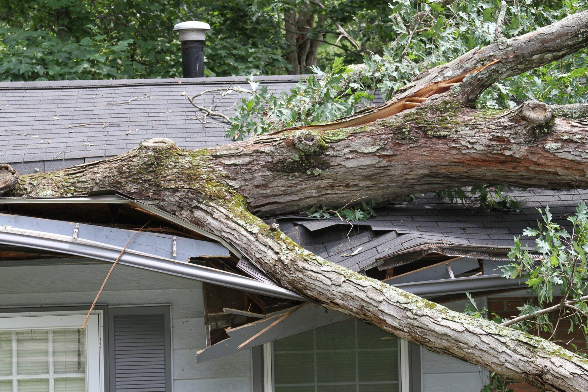 Tree Fell On The House | Columbus, OH | Campos Tree Services Tree Fell On The House | Columbus, OH | Campos Tree Services