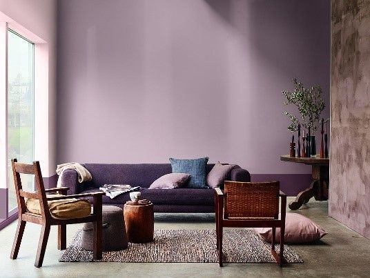 Ein Wohnzimmer mit violetten Wänden und einem violetten Sofa und Stühlen.