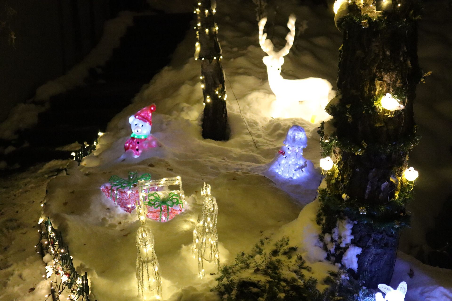 Eine Gruppe Weihnachtslichter sitzt im Schnee.