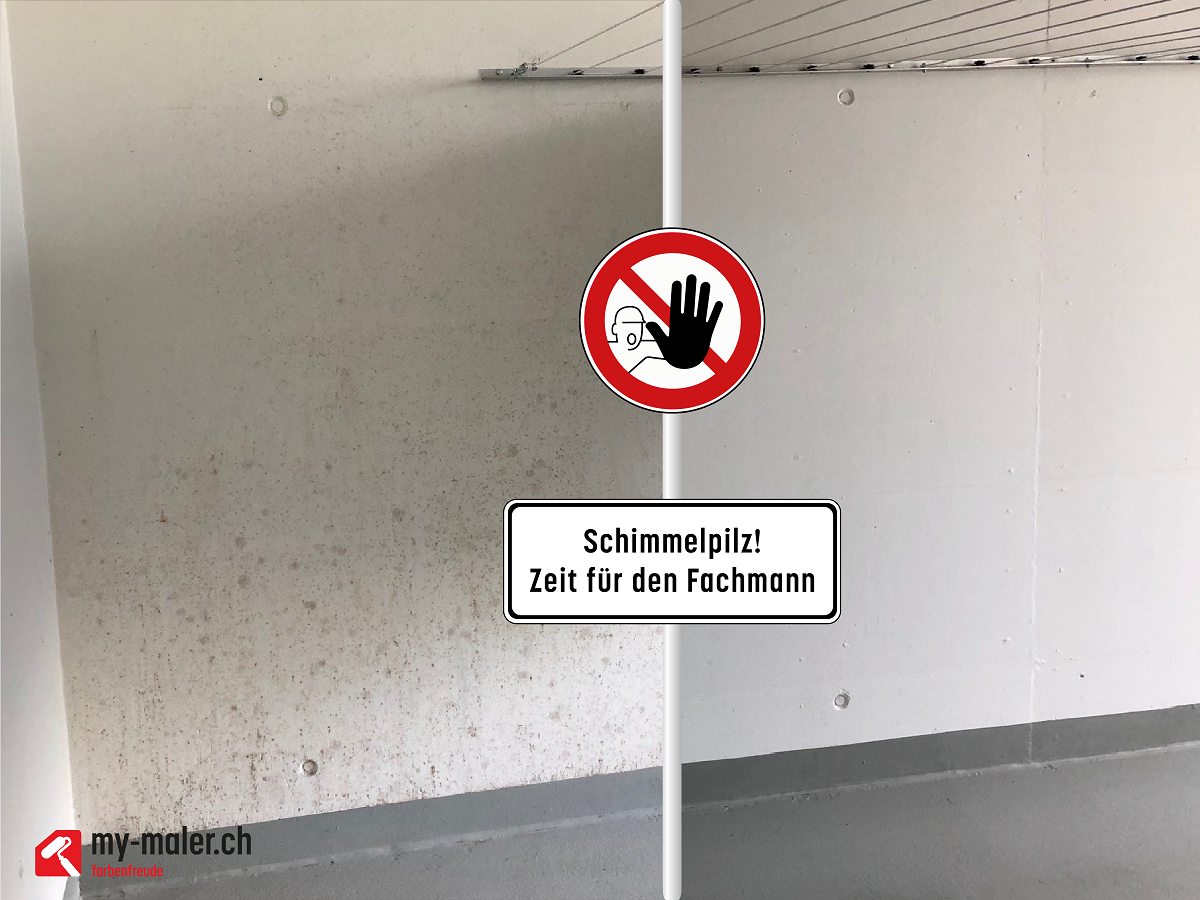 Ein Vorher-Nachher-Bild einer Wand mit einem Schild mit der Aufschrift Schimmelpilz