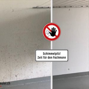 Schimmel-Sanierung
