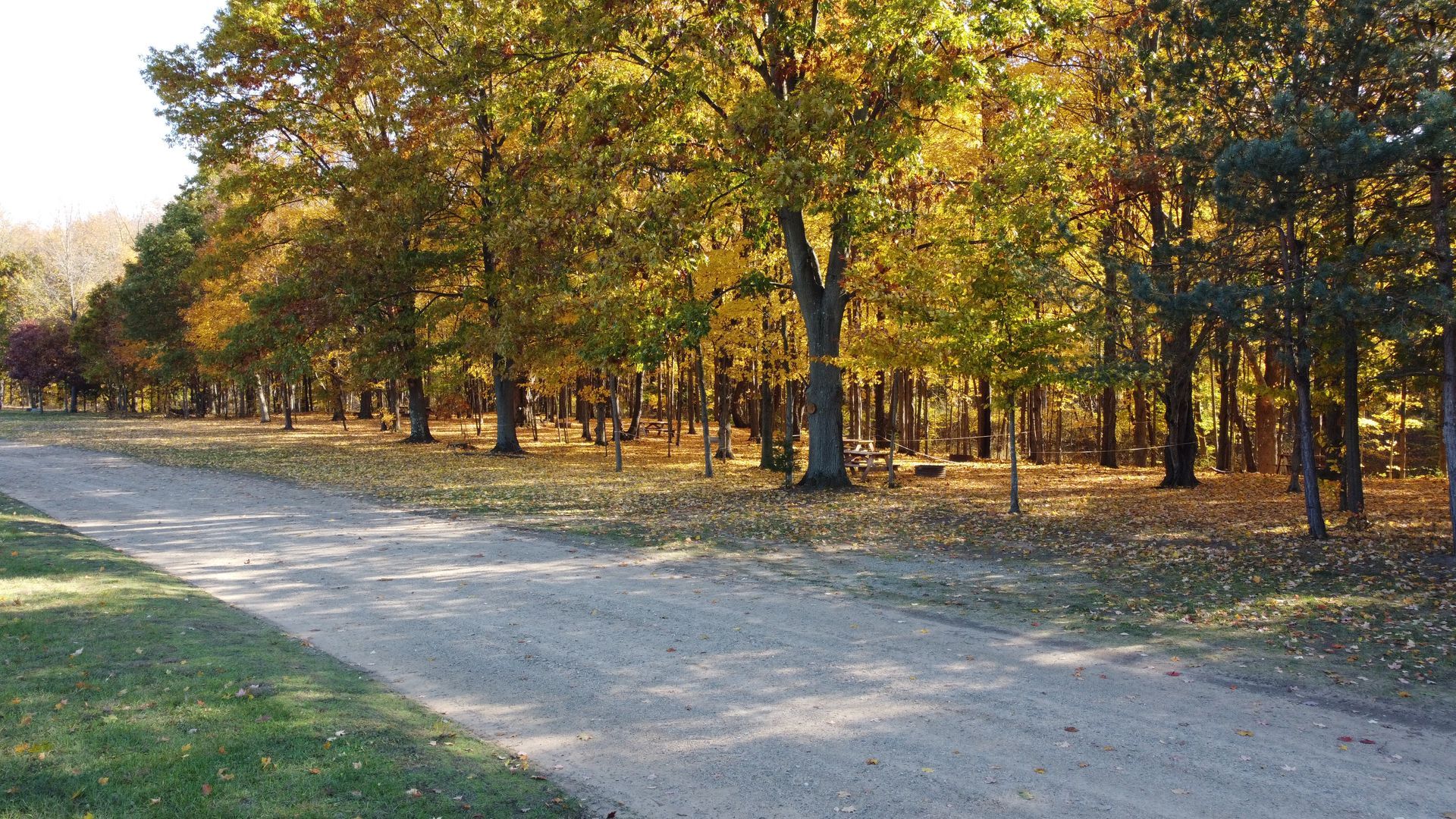 Looking down along our heavily wooded tent camping area.