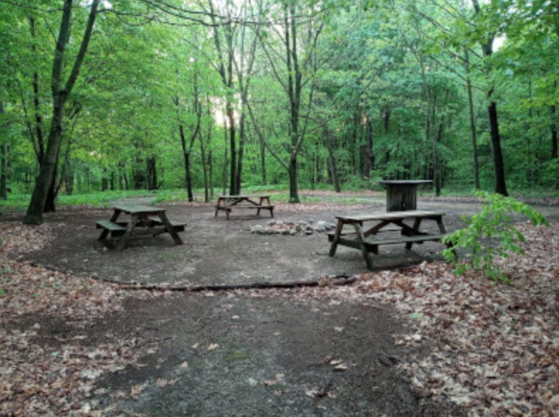 Looking out across the group camping site.