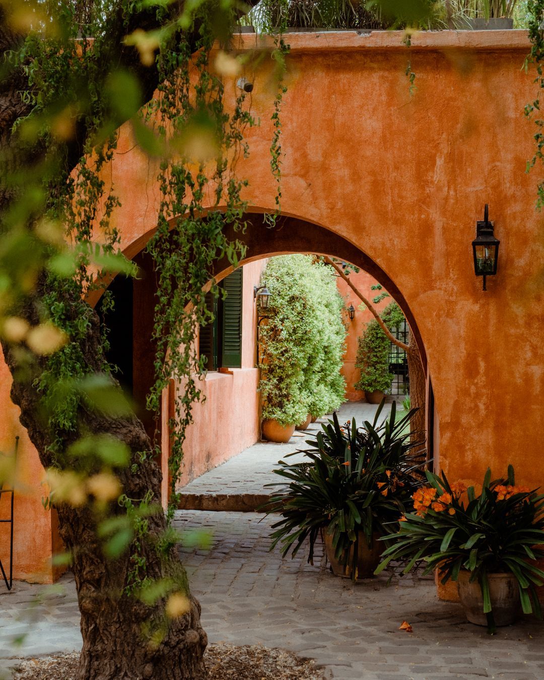 Courtyard with terracotta walls, arched doorways, greenery, and potted plants.