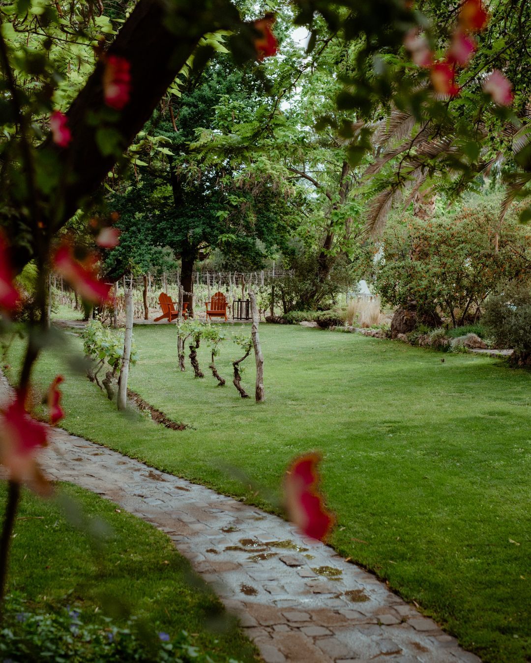 Stone path through a green lawn, leading to trees and a garden with red flowers.