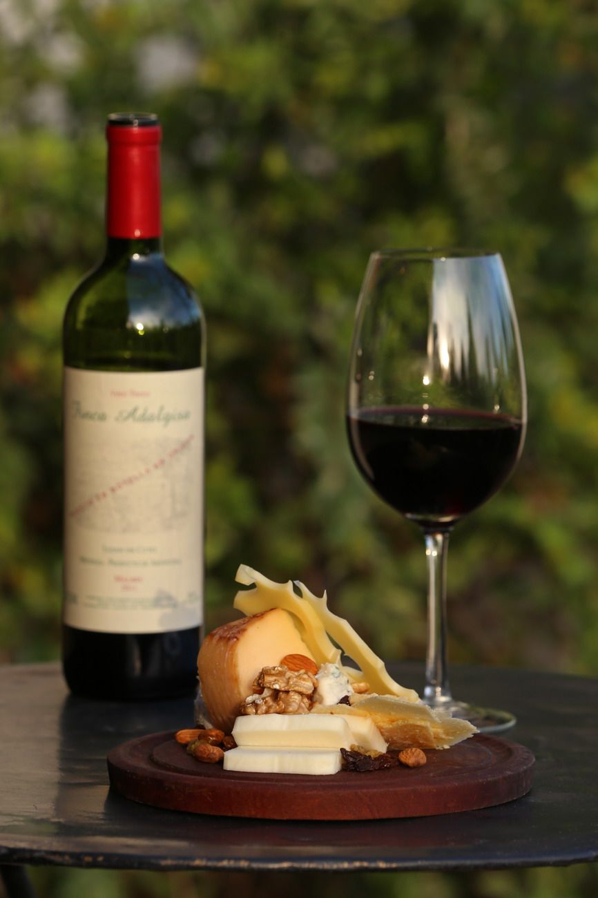 Bottle of red wine, full wine glass, and cheese board on table outside.
