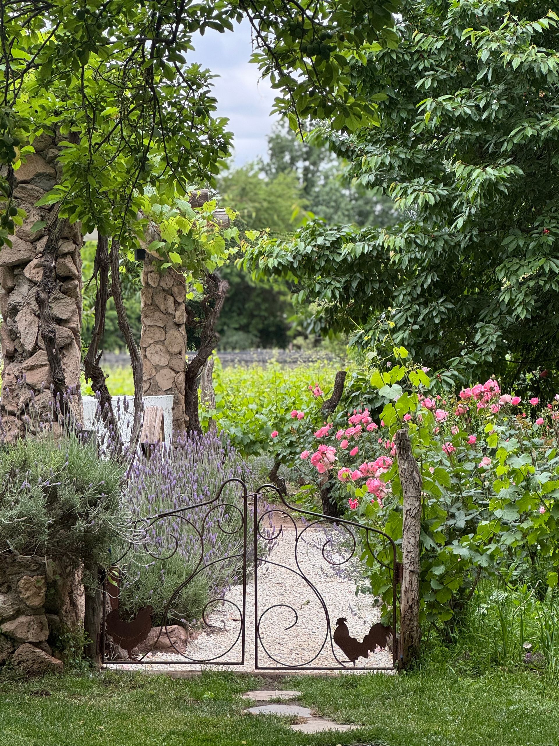 Stone columns frame a wrought-iron gate leading into a garden with pink roses and lavender.