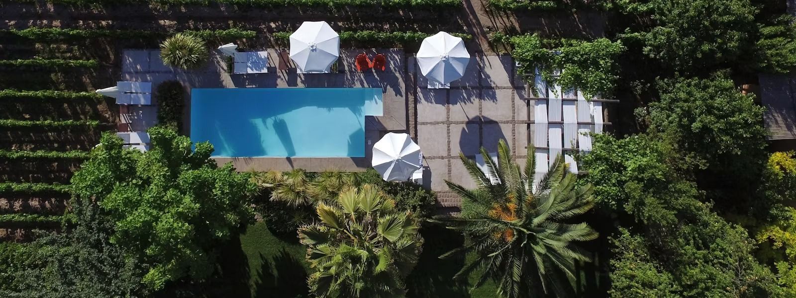 Aerial view of a rectangular pool surrounded by trees, umbrellas, and a patio, near a vineyard.