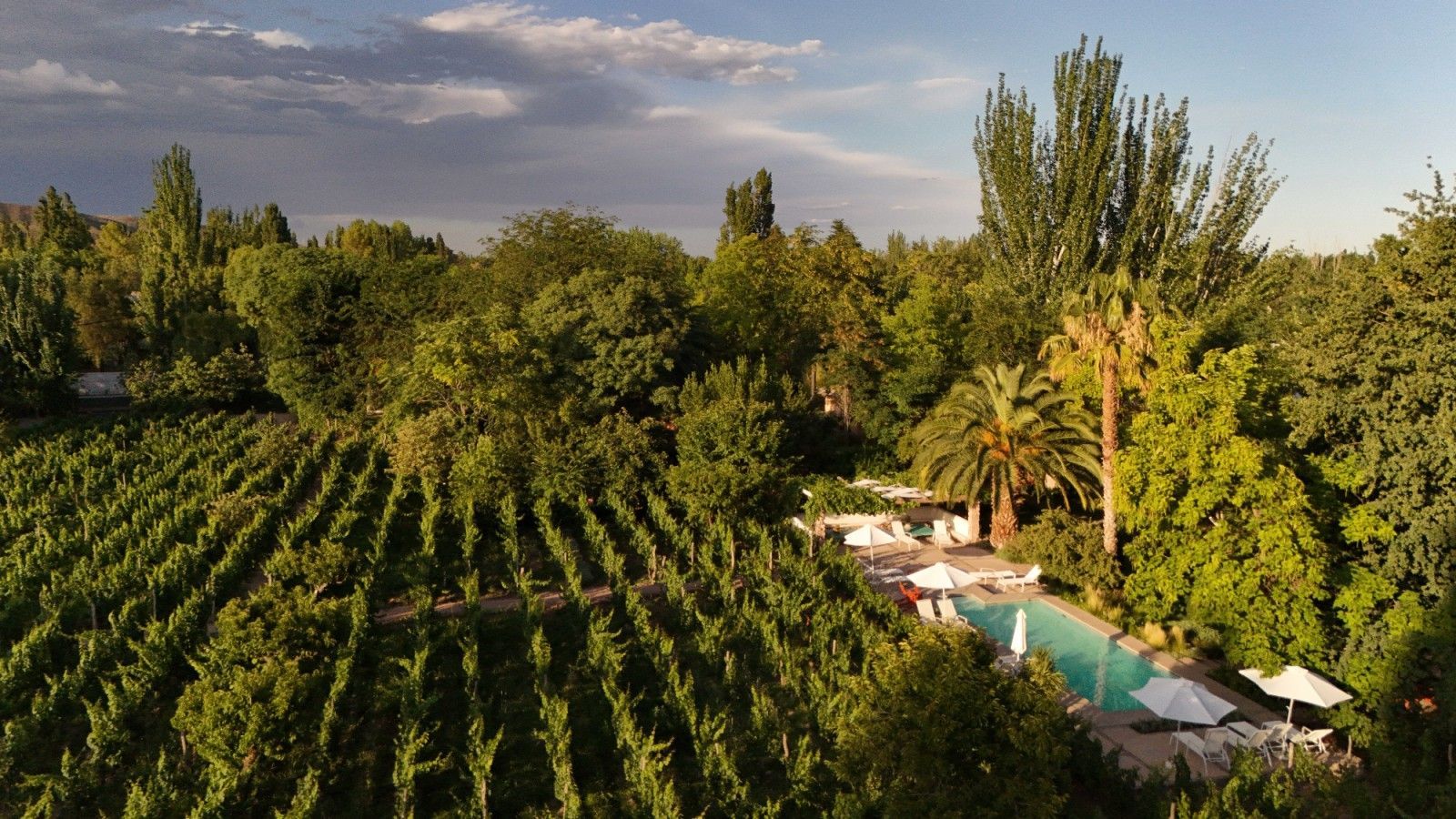 Finca Adalgisa in Chacras de Coria, Argentina