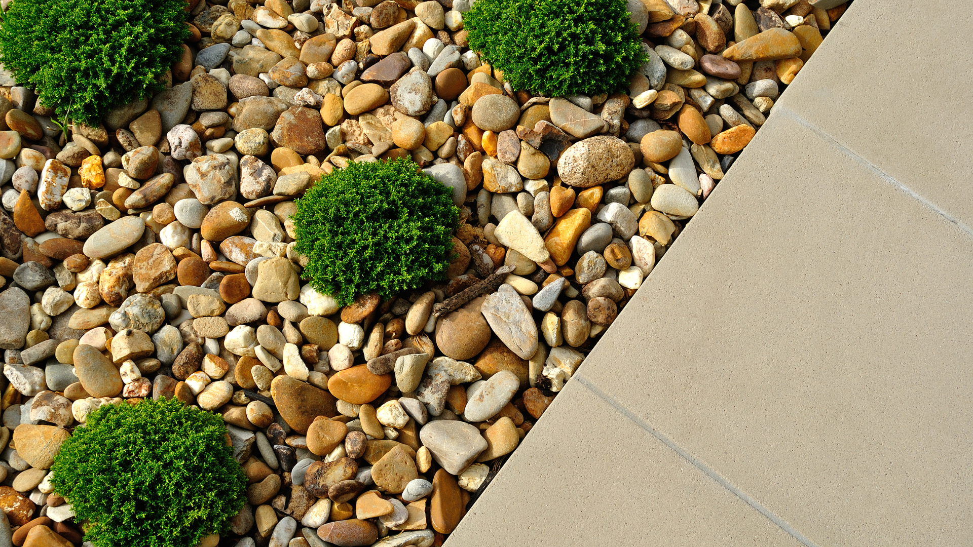 A pile of rocks and plants next to a sidewalk