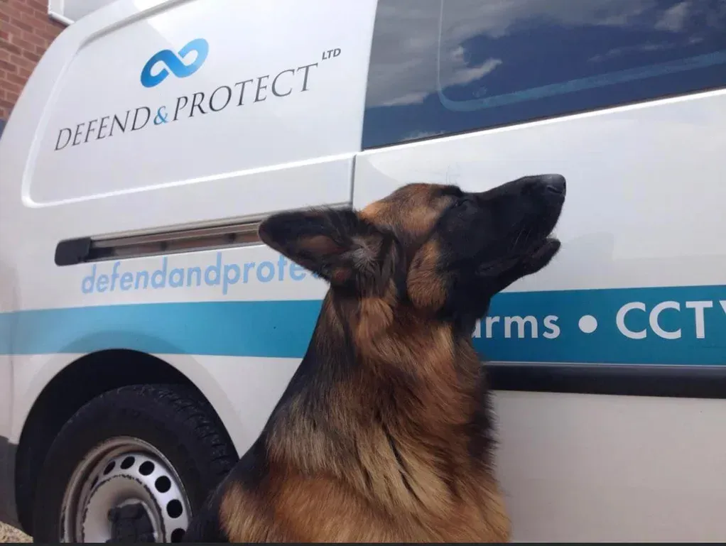 German shepherd looking at a white security van with blue "Defend & Protect" branding