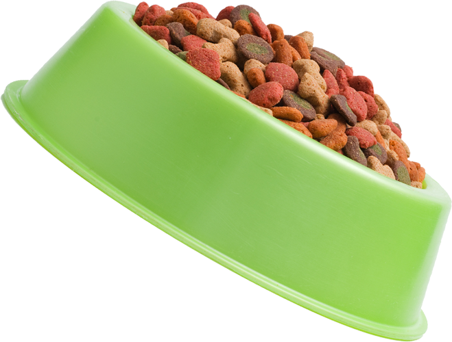 Dog Food — Springfield, MO — Sunshine Animal Hospital
