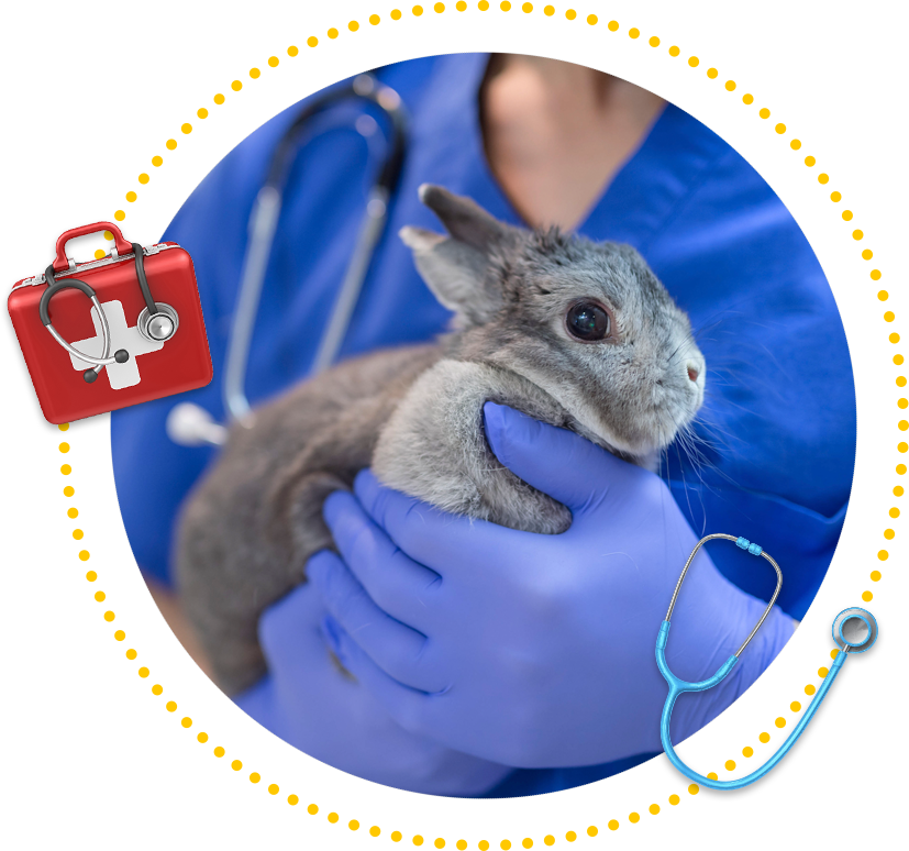 The Most Trusted Animal Specialists Springfield, MO Sunshine Animal