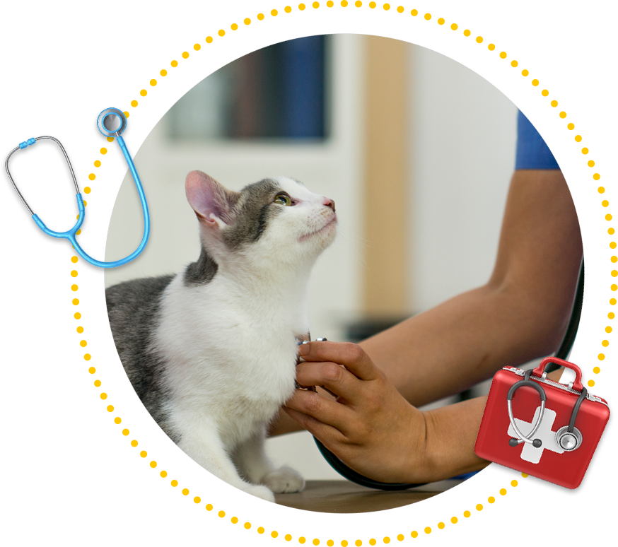 The Most Trusted Animal Specialists Springfield, MO Sunshine Animal