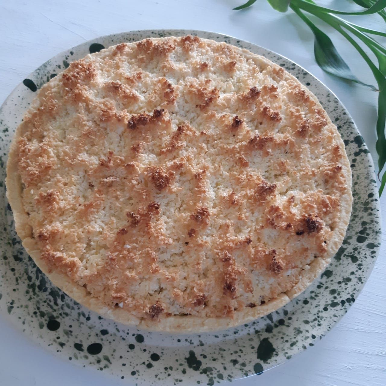 Tres pasteles emplatados sobre un mantel blanco con pequeñas plantas en macetas cerca.