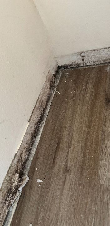 A corner of a room with a wooden floor and a white wall.