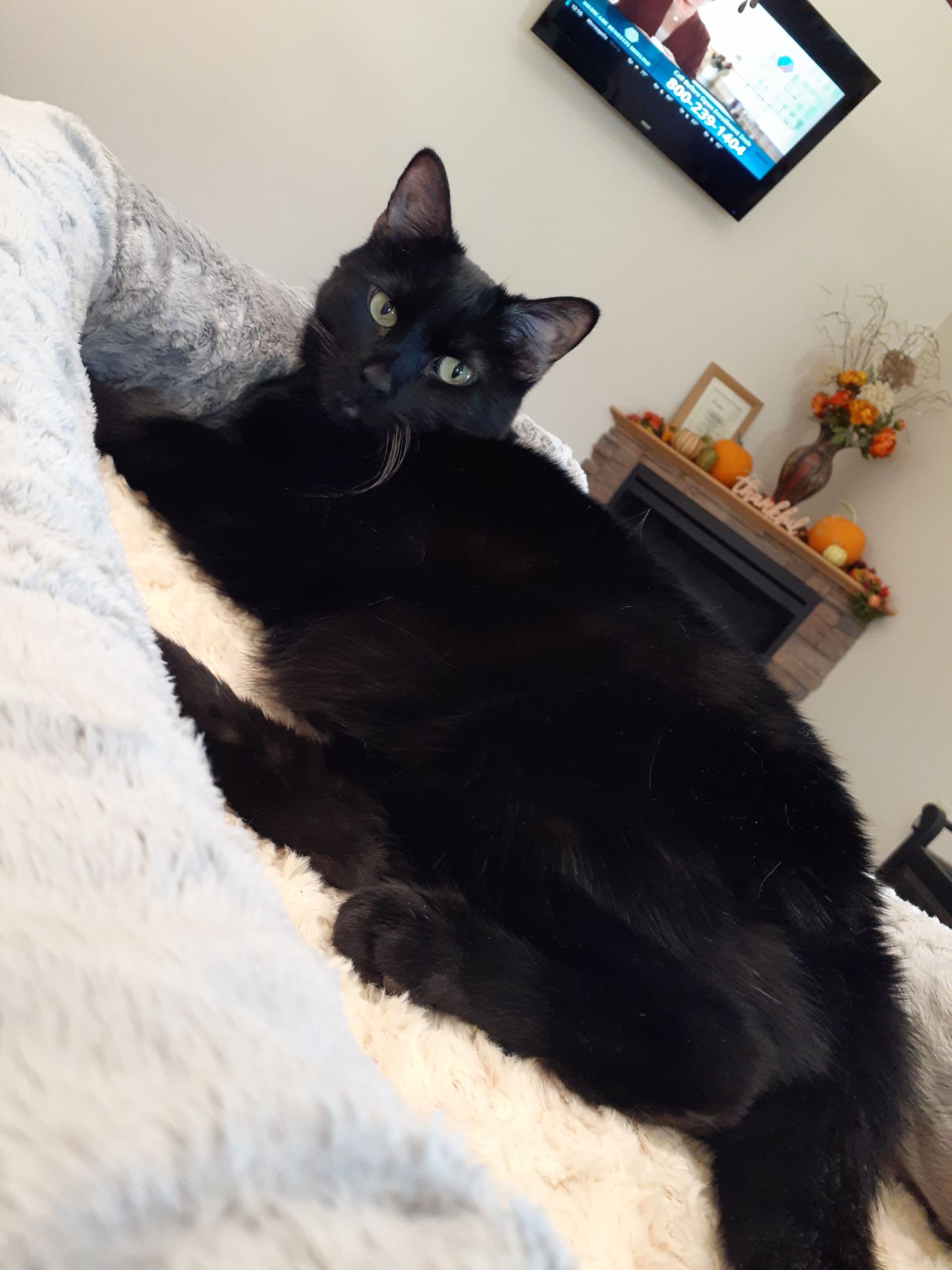 Wiggles in a bed