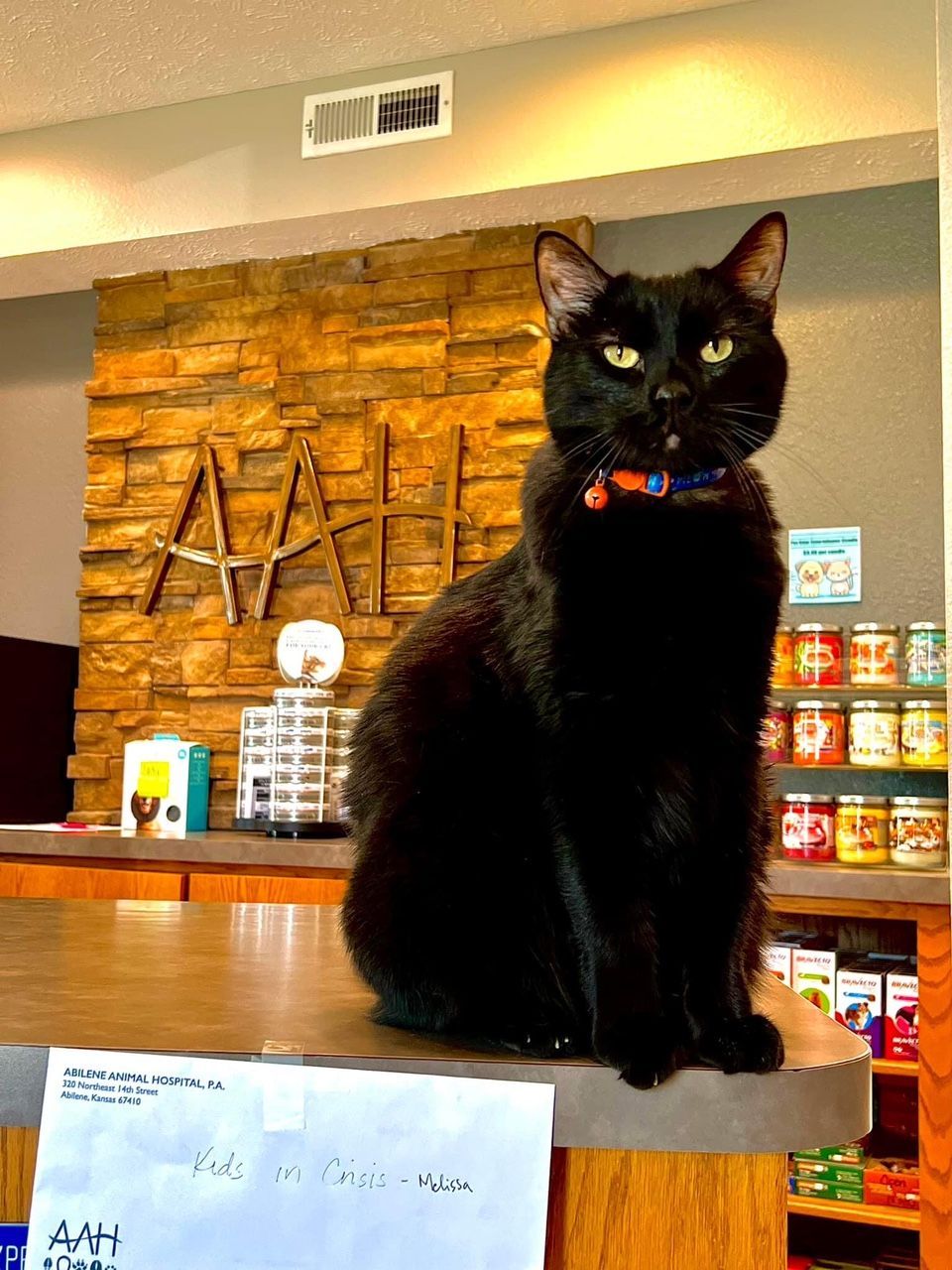 wiggles overlooking his kingdom