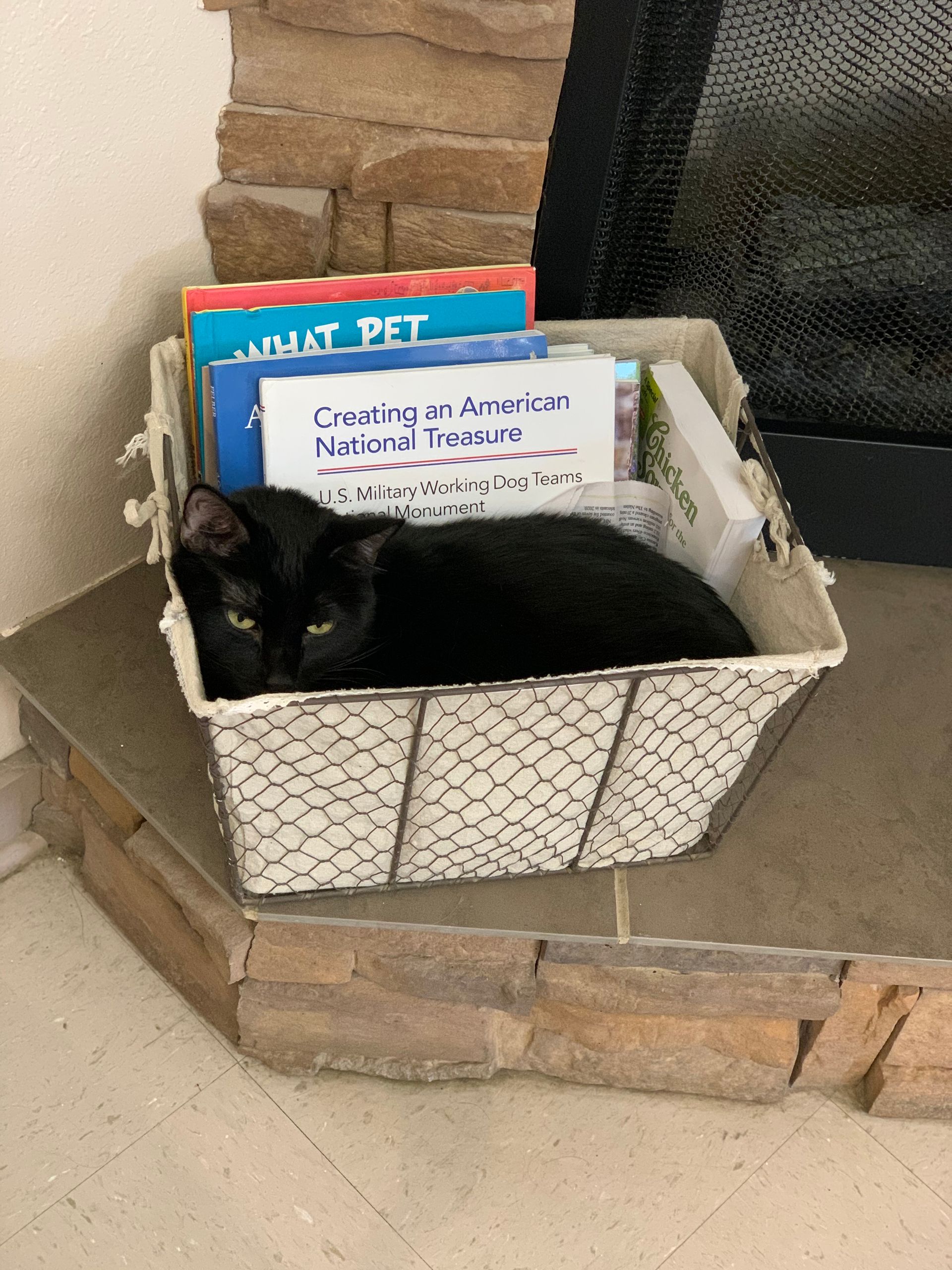 wiggles in a box of magazines
