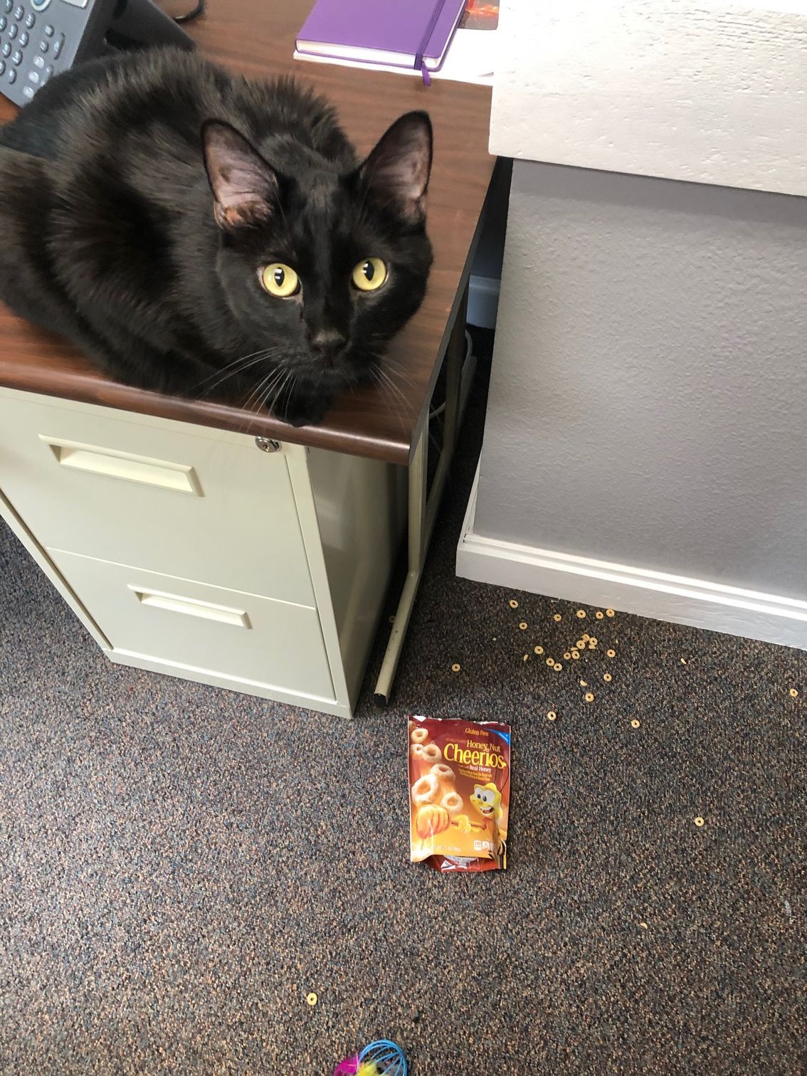 Wiggles naughty cheerios