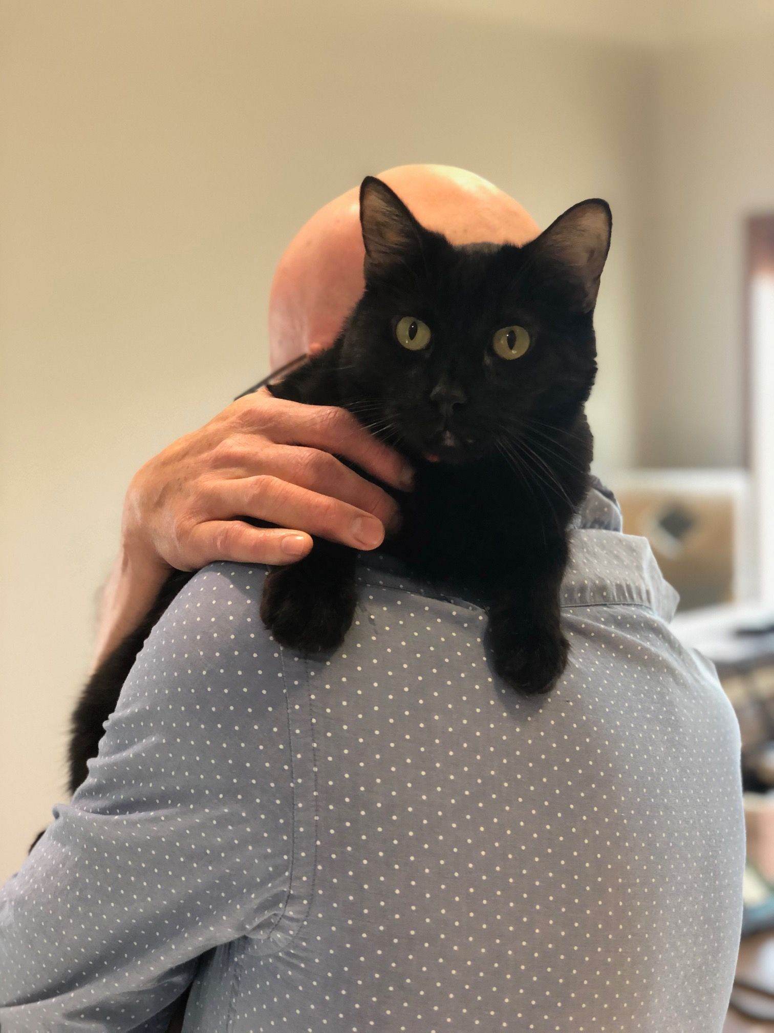 Wiggles on doug's shoulder