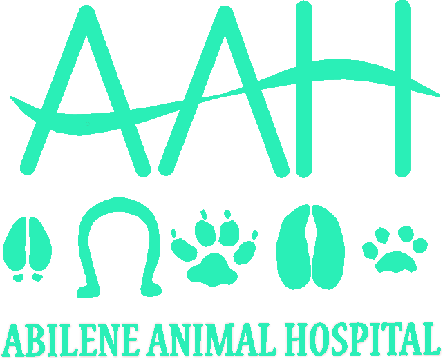 AAH logo