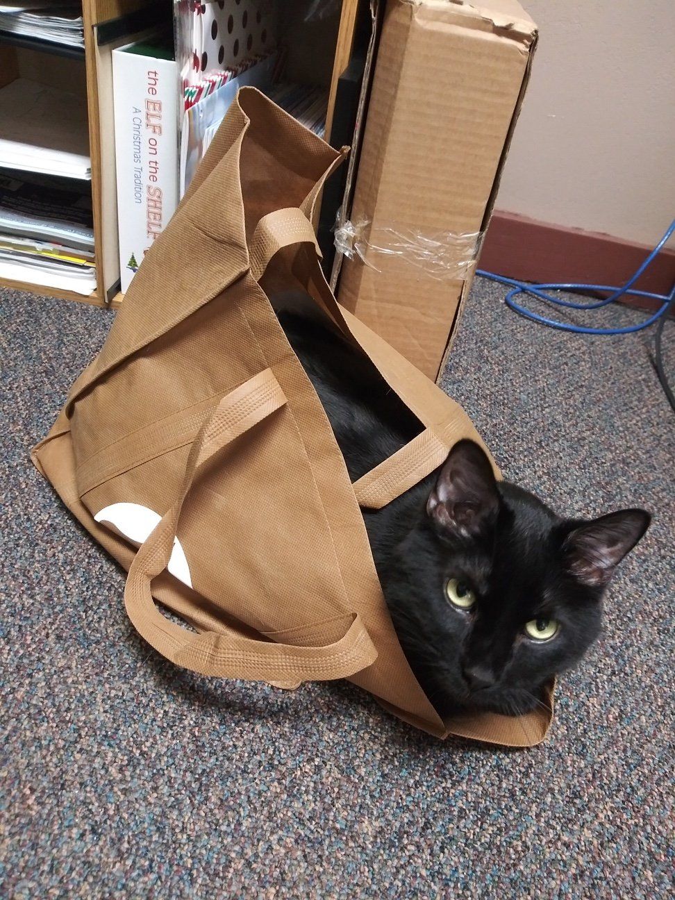 Wiggles in a bag