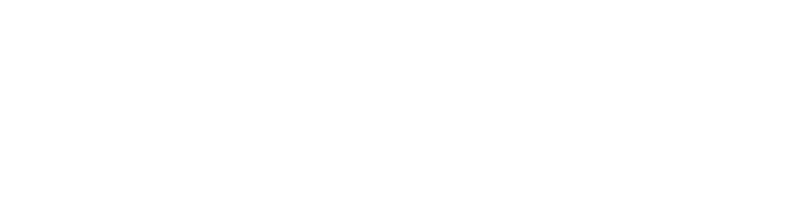 The Window Doctor Logo