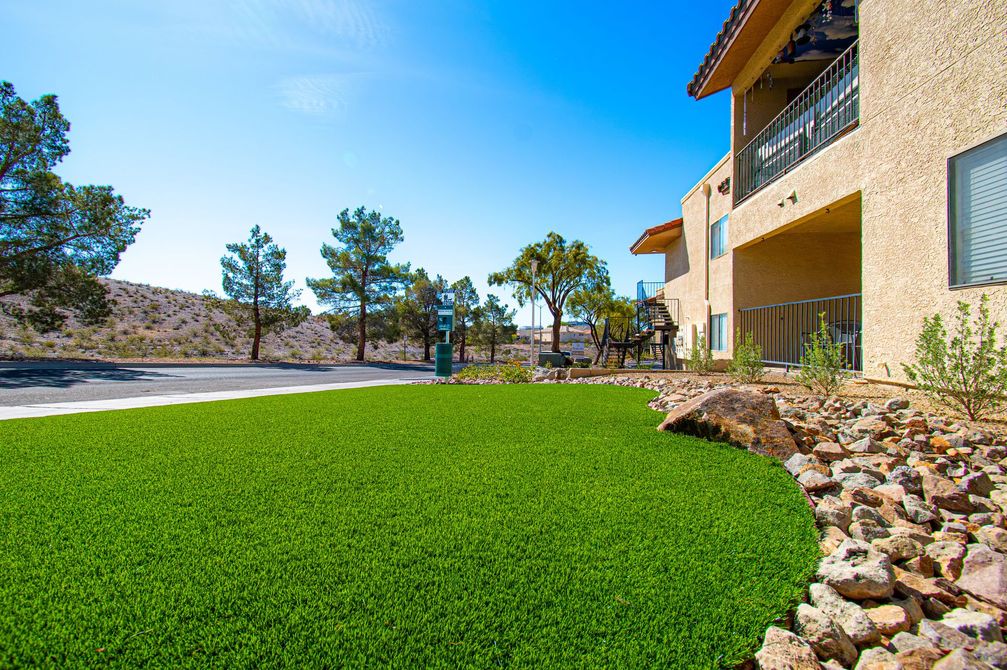 Bright green lawn beside a tan building, with trees and a blue sky on a sunny day