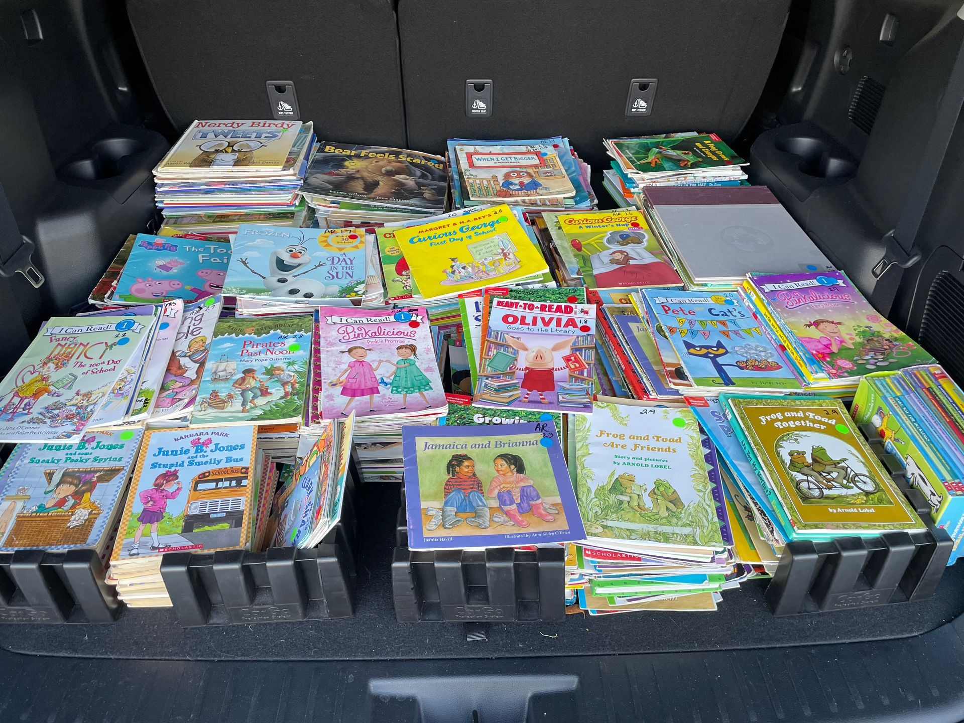 Books fill the open trunk of a car. Various colorful children's books are neatly arranged in black containers.