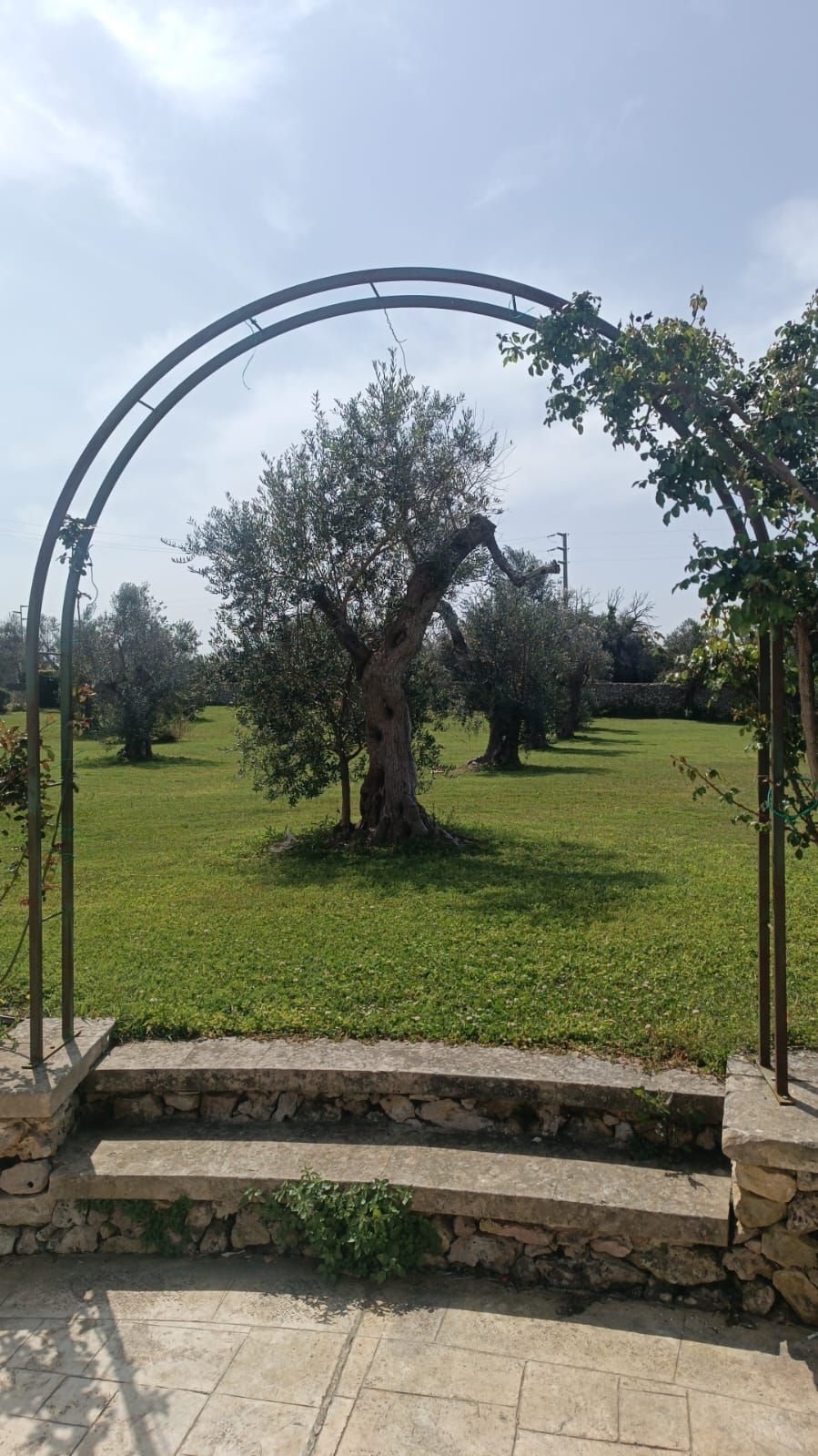 Un arco da giardino incornicia un frutteto erboso con alberi sotto un cielo luminoso.