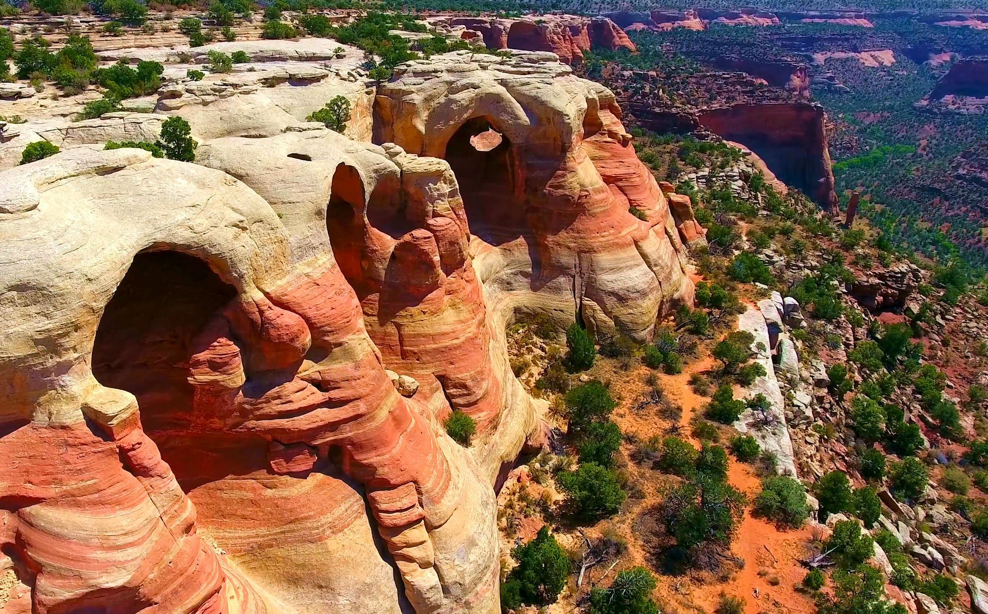 rattlesnake arches
