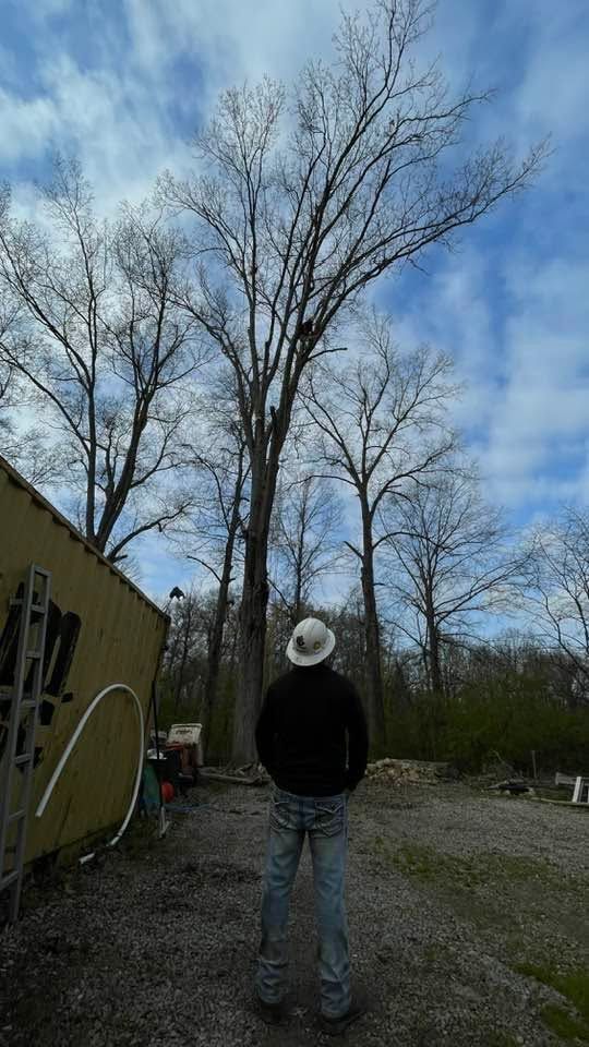 Person standing on a gravel path near trees and a yellow building under a cloudy blue sky