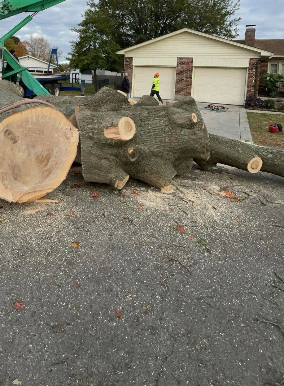 Large tree trunk sections and logs stacked in a driveway beside a garage, with a worker in a high-visibility vest nearby.