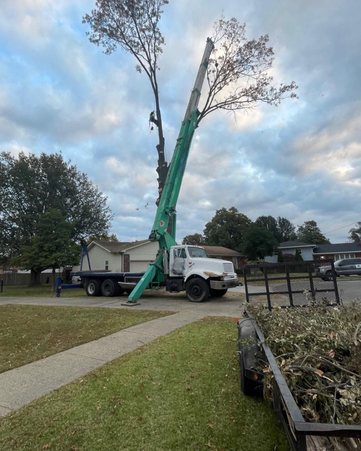 A crane truck lifts a tall tree beside a suburban yard under a cloudy sky.