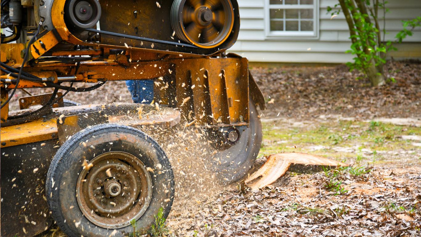 Orange lawn mower deck throwing debris near a yard and house window