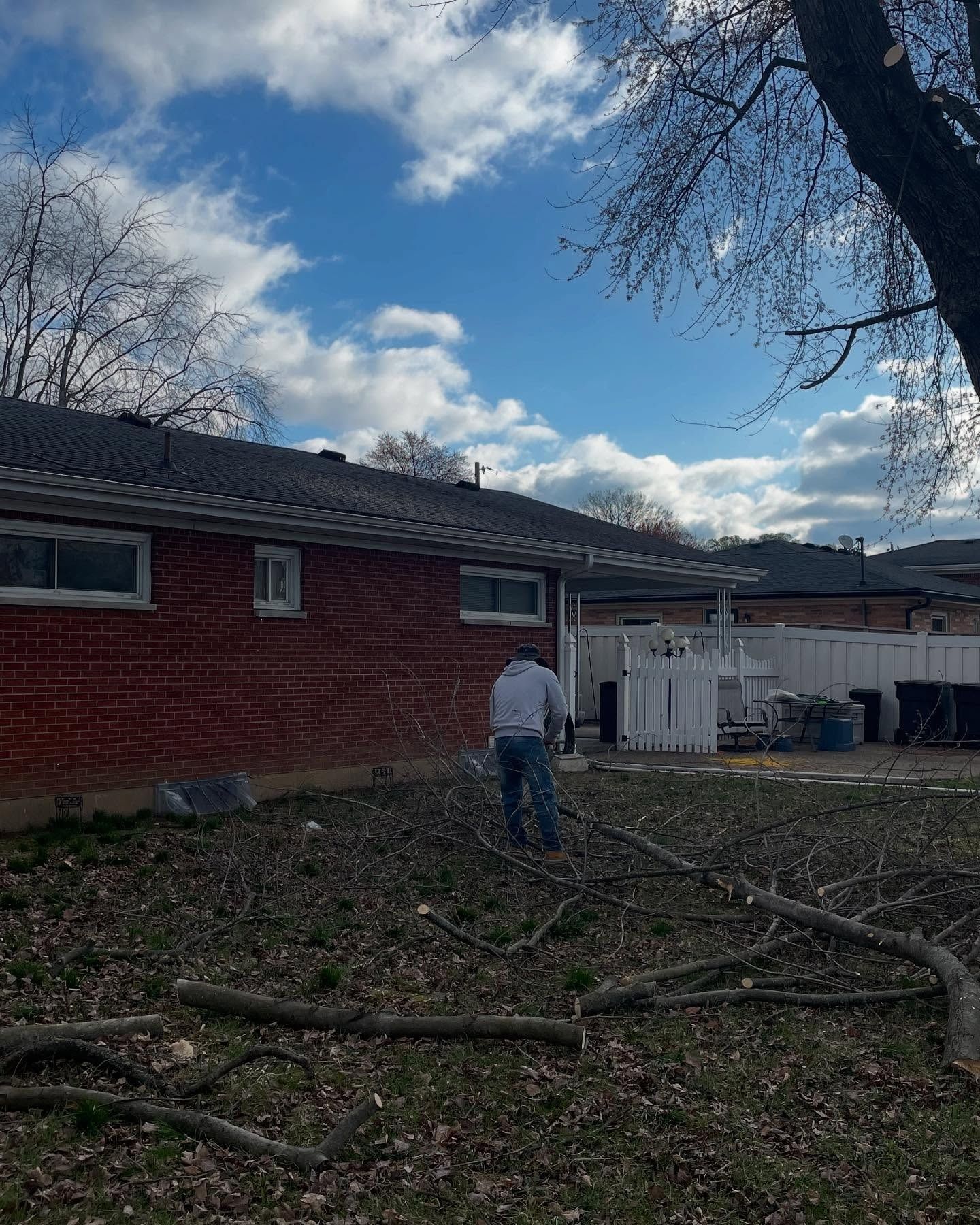Person standing in a yard beside a brick building, with fallen branches and a cloudy sky overhead