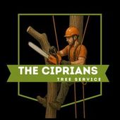 Logo for The Ciprians Tree Service showing a worker in an orange helmet cutting a tree with a chainsaw.