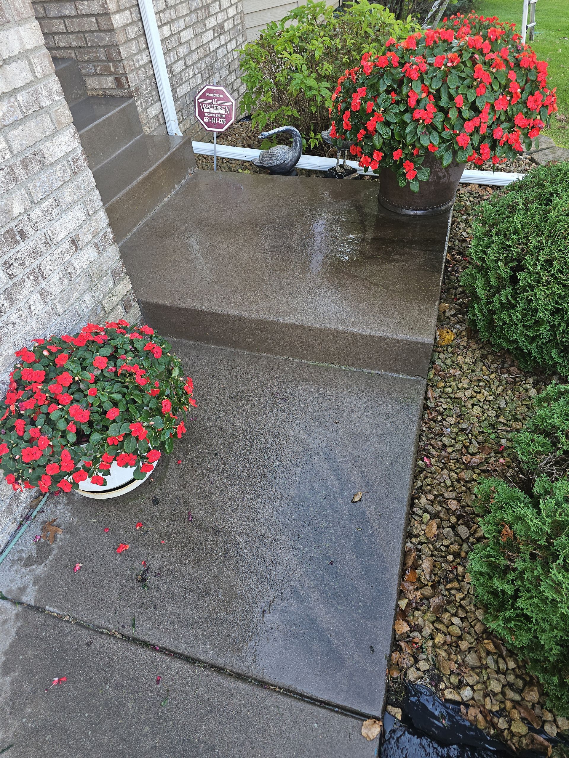 A concrete entryway with a step, red flowering plants in pots on both sides, a security sign, and surrounding bushes.
