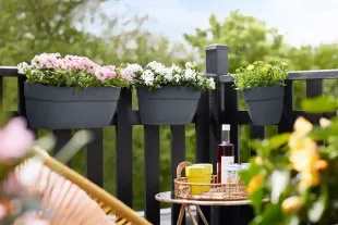 Ringhiera del balcone con vasi di fiori grigi con fiori rosa e bianchi,