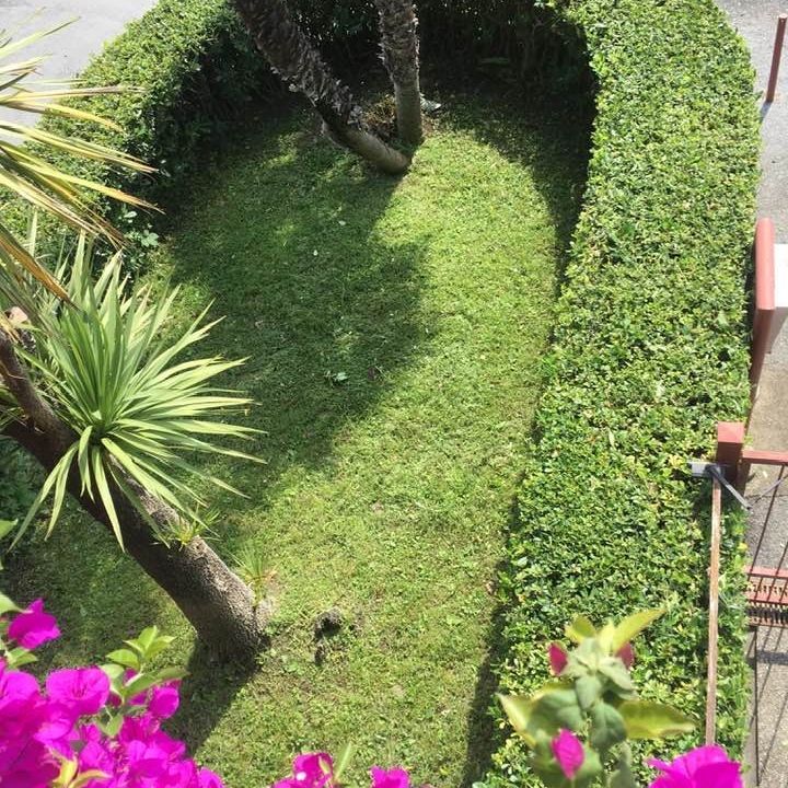 PULIVERDE GIARDINAGGIO