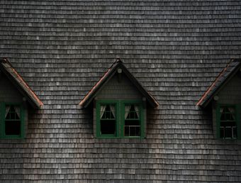 Moss prevention in Lacey, WA applied by Rainy Day Services