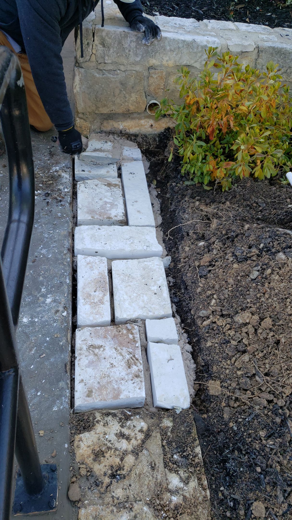 A person installing light-colored stone pavers along the edge of a garden bed next to a concrete sidewalk.
