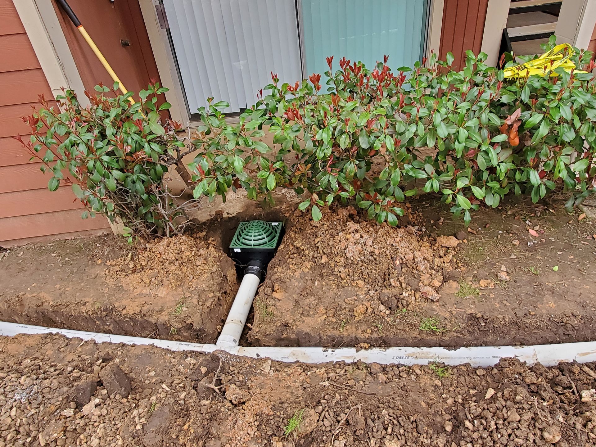 A green drainage basin set into a trench in front of garden shrubs, connected to a white PVC pipe.