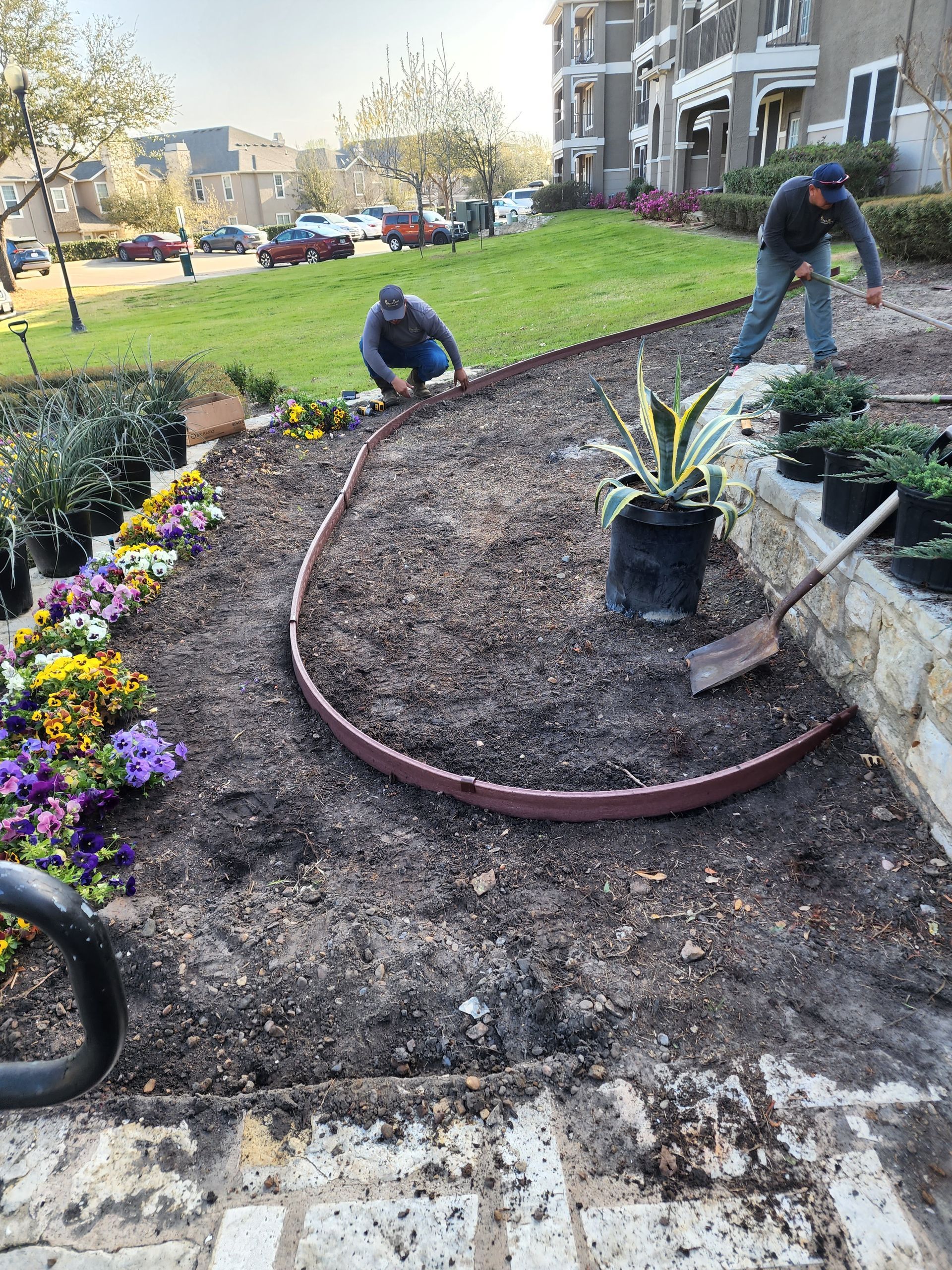 Two landscapers installing garden edging and planting flowers in a mulched bed near a stone wall and apartment building.