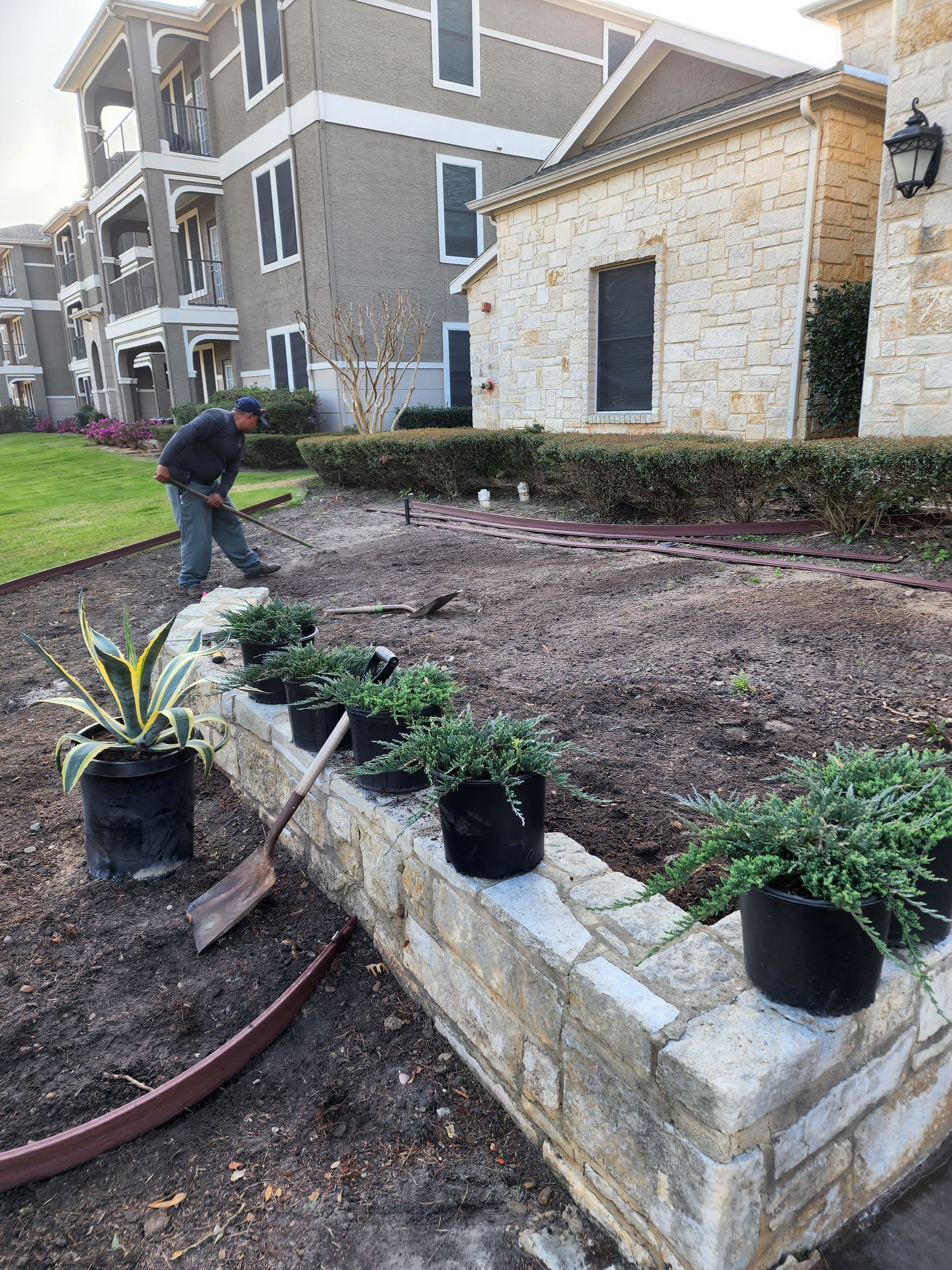 A person planting potted shrubs along a stone retaining wall in front of an apartment building.