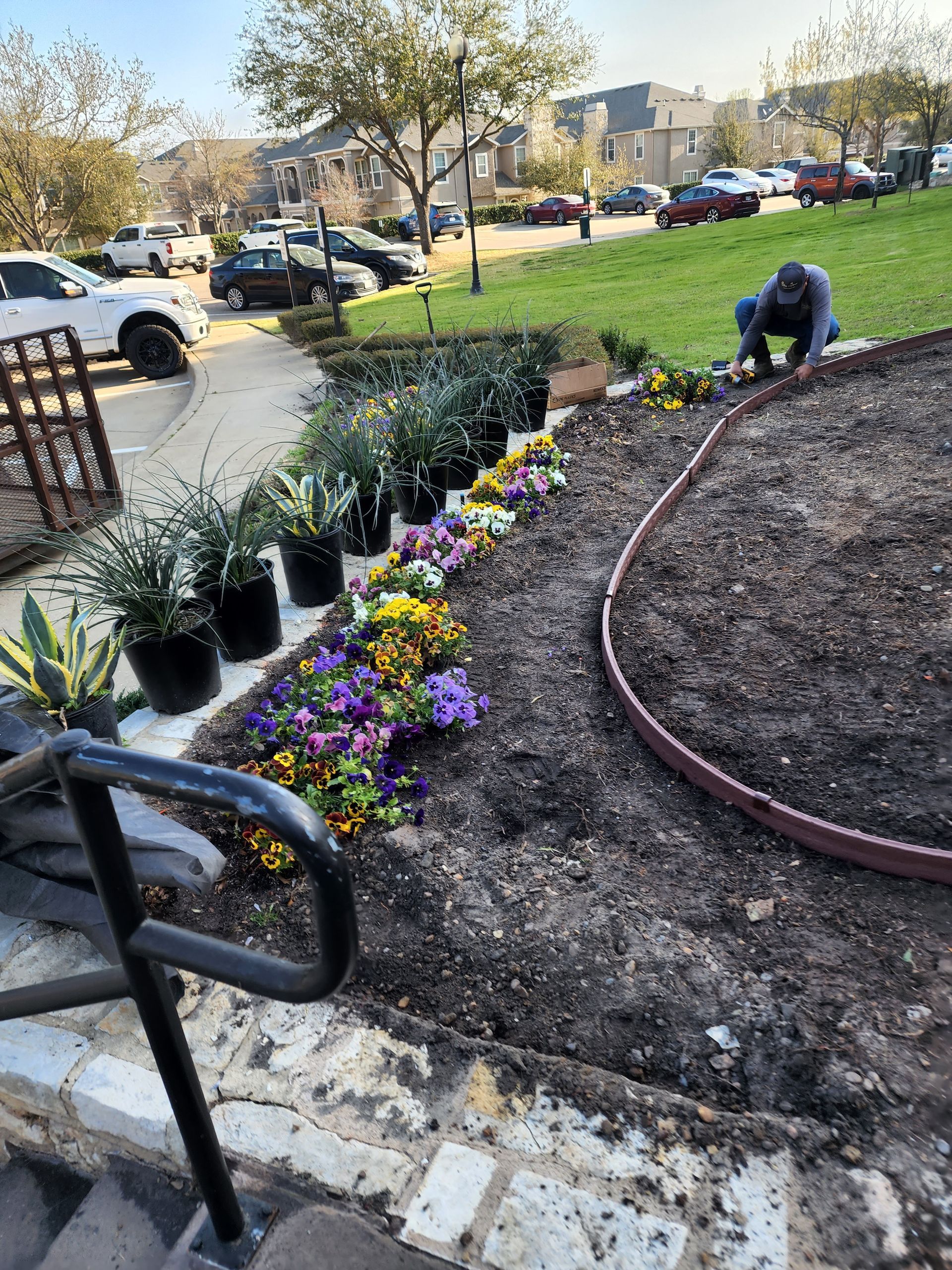 A person works in a landscaped garden area, planting flowers along a curved border of dark mulch near stone steps.