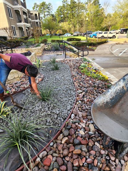 A person in a purple shirt planting shrubs in a landscaped garden bed filled with grey gravel and river rocks.